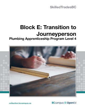 Block E: Transition to Journeyperson